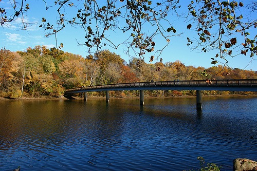 Exploring Roosevelt Island